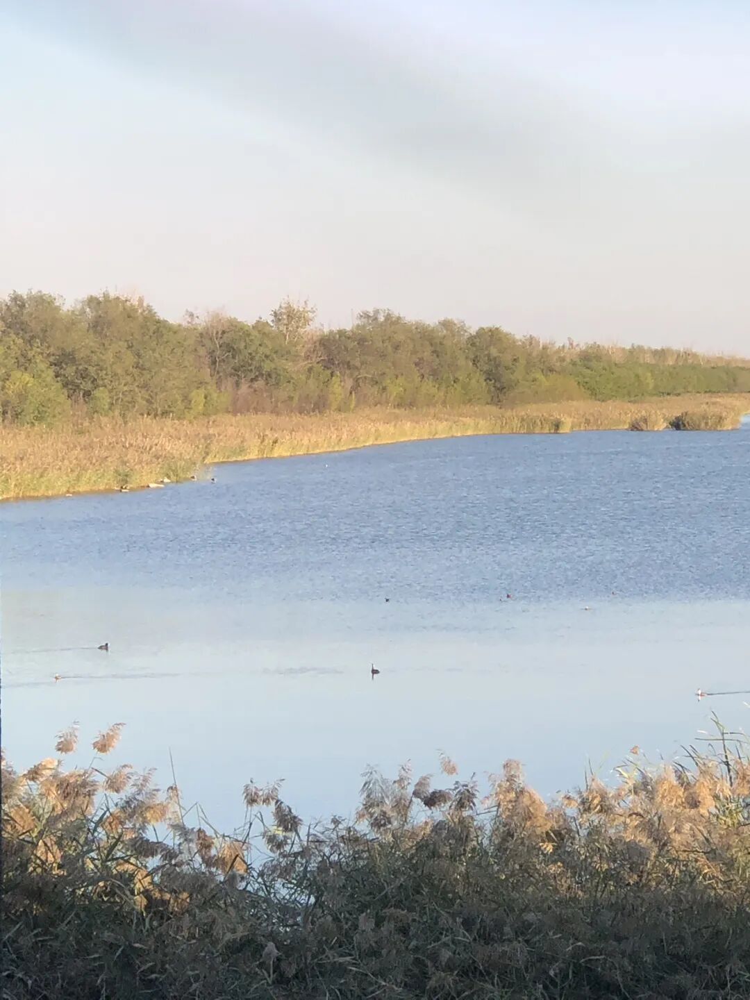 人到中年：变强大的三个标志