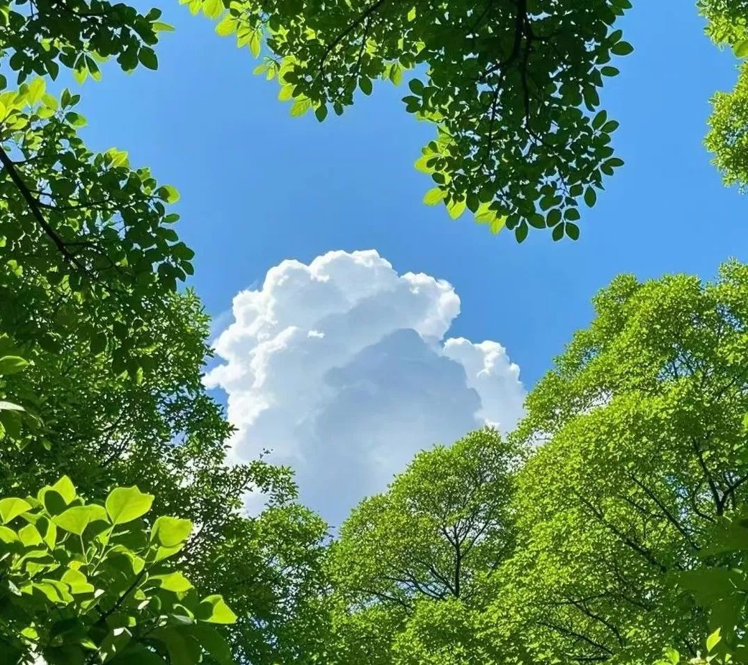 正向反馈，有多重要？